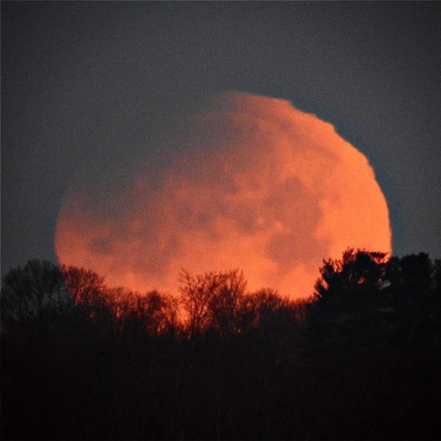 Las mejores fotos de la Luna de Sangre 2018