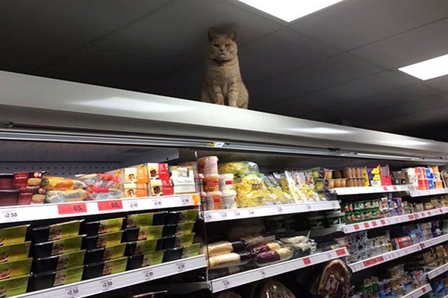 fotos raras supermercados 7【HUMOR VIRAL】