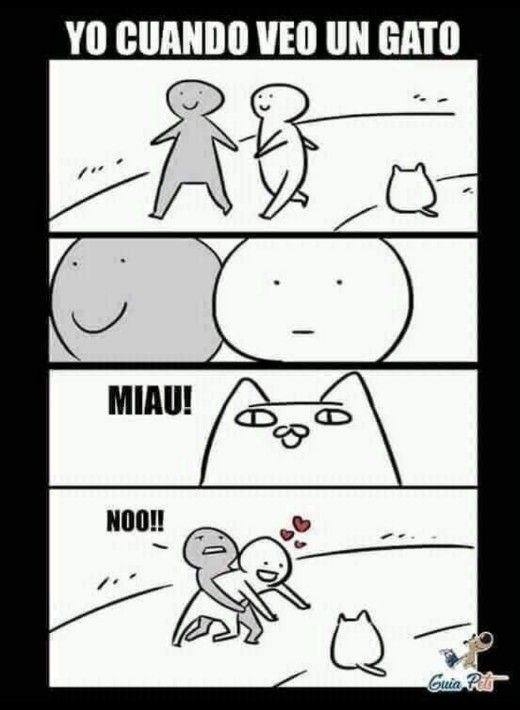 Memes de Gatos【HUMOR VIRAL】