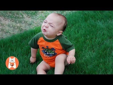 Momentos Graciosos de Bebes Video de risa Espanol【HUMOR VIRAL】